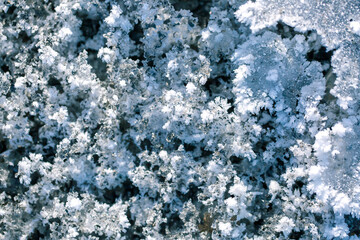 Frost. Beautiful snow patterns and for close-up as a background