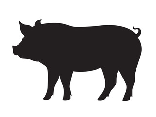 Silhouette of a pig, side view. Illustration on transparent background