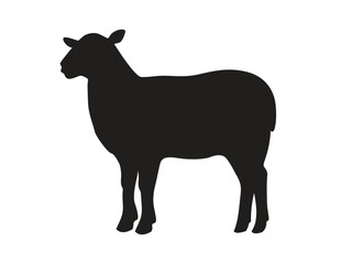 Silhouette of a sheep, side view. Vector illustration isolated on white background