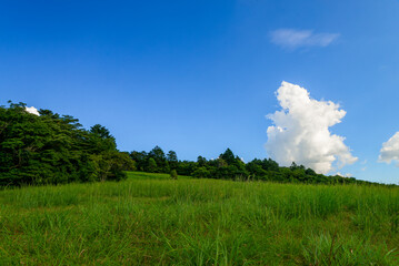 草原と青空