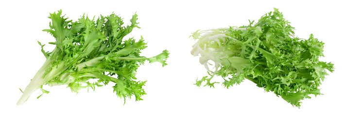 Fresh green leaves of endive frisee chicory salad isolated on white background with full depth of...