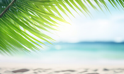 Close-up of palm leaf with blurred tropical beach.
