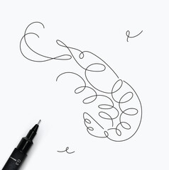 Shrimp sea creature drawing in pen line style on white background
