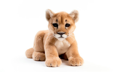 Cougar Soft toy on a white background, cut.
