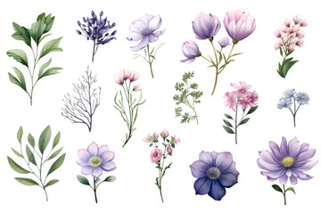 collection of watercolor floral clip arts
