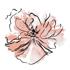 FLOWER ROSE WATERCOLOR SILHOUETE ILLUSTRATION