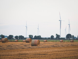 Baloty siana na polu z wiatrakami w tle.  Hay bales in a field with windmills in the background.