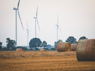 Baloty siana na polu z wiatrakami w tle.  Hay bales in a field with windmills in the background.