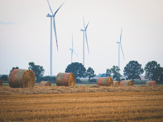 Baloty siana na polu z wiatrakami w tle.  Hay bales in a field with windmills in the background.