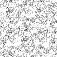 Line roses flower silhouette pattern, seamless repeatable texture wallpaper on black background.