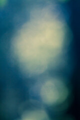 Abstract flare effects with big round orbs in a dense forest