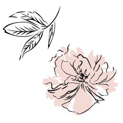 FLOWER ROSE WATERCOLOR SILHOUETE ILLUSTRATION