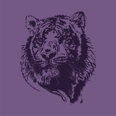 Lion or Tiger Face very attractive - with light dark purple colour background editable vector for t-shirt design and multipurpose use in high definition format