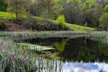 Beautiful pond reflections on the countryside