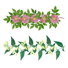 Obraz premium set of wild and garden flowers on a white background.