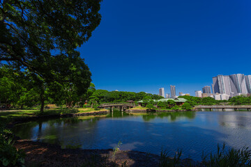 summer sky and urban garden 78