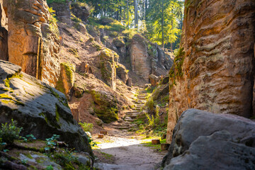 Prachovske skaly in sun lights, Cesky raj sandstone cliffs in Bohemian Paradise, Czech Republic