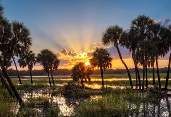 Sun with sun rays in blue sky with clouds at unset over Myakka River State Park in Sarasota Florida USA © Jim Schwabel