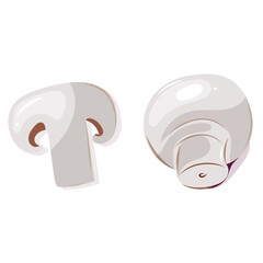 Champignons de Paris. Illustration vectorielle. Légumes de saison