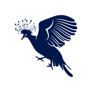 recommend clip art: Victoria crowned pigeon design vector illustration. Victoria crowned pigeon Silhouette. Bird design template.