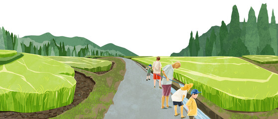 日本の夏の水田原風景手描き水彩風イラスト