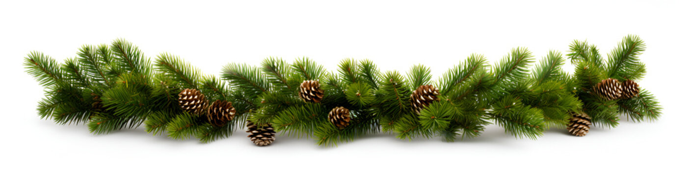 Christmas Garland Of Evergreen Tree Pine And  Holly Berries And Cones On Isolated White Background