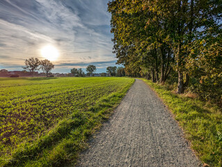 Schotterweg entlang einer Allee beim Sonnenuntergang in Sarstedt, Hildesheim, Niedersachsen