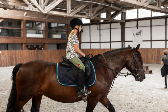 Horse Riding School. Little Children Girls At Group Training Equestrian Lessons In Indoor Ranch Horse Riding Hall. Cute Little Beginner Blond Girl Kid In Helmet Sitting On Brown Horse Horseback