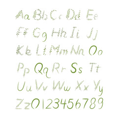 Alphabet . Flora branches and leaves.  hand drawn alphabet © Наташа Пономаренко