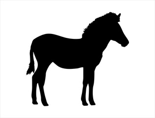 Zebra silhouette vector art white background