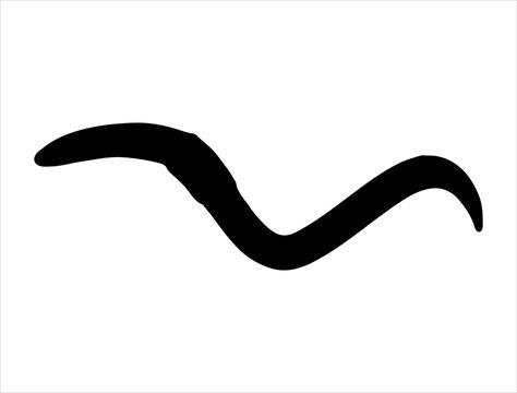 Worm silhouette vector art white background