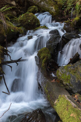 Fototapeta na wymiar Autumn Waterfall in Olympic National Forest
