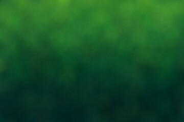 Green wallpaper, bokeh style. Colour transition from light green to dark green. Blurred patches in different shades of green.