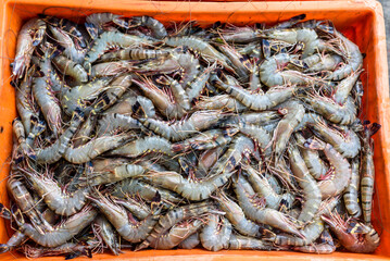 Shrimp and prawn
