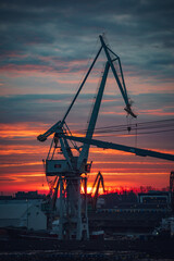 cranes in the port in sunrise