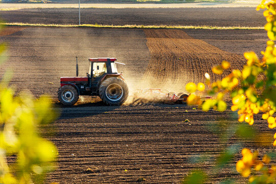 Fototapeta Tractor plowing field at sunset among dust