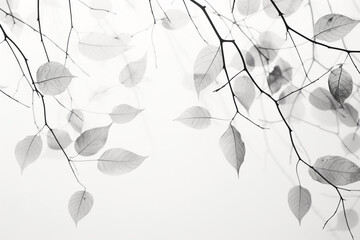 木の葉の影 - obrazy, fototapety, plakaty