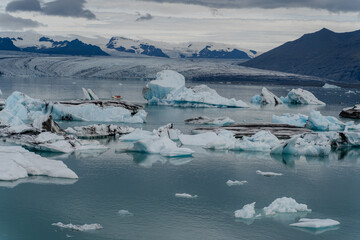 Fototapeta na wymiar Iceland. A melting glacier floats into the ocean.