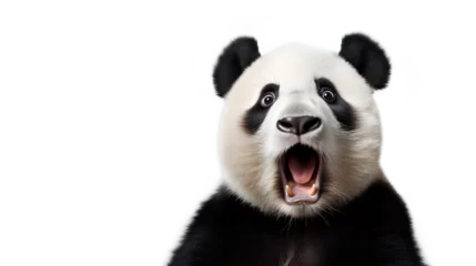 Deurstickers Shocked surprised Panda. Impressed Panda. Front view. Isolated on Transparent background. ©  Mohammad Xte