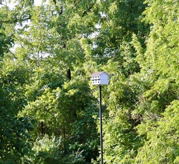The tall white birdhouse on a pole.
