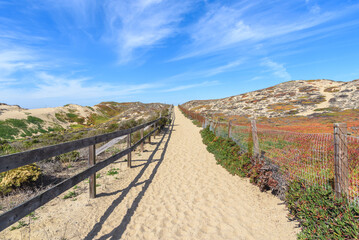 Deserted fenced path through coastal sand dunes on a clear autumn day