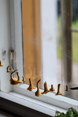 Dried Chanterelles in the windowsill. Seasonal Decor for Autumn. 