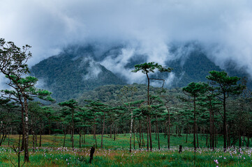 Phu Soi Dao National Park in the rainy season