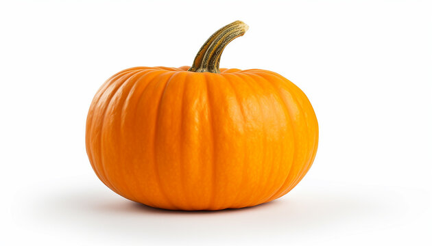 Isolated Pumpkin on White Background