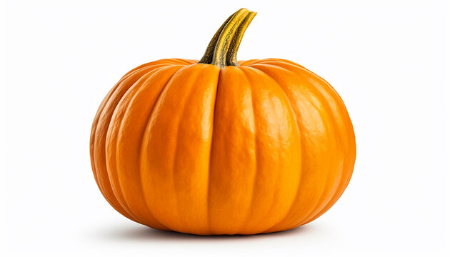 Isolated Pumpkin on White Background