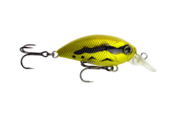 fishing bait, colorful fishing bait isolated from background