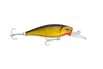 fishing bait, colorful fishing bait isolated from background