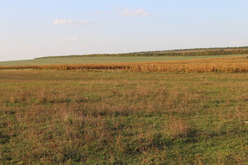 A grassy field with a fence with Konza Prairie Natural Area in the background