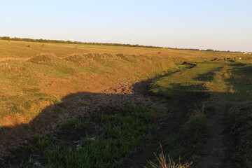 Fototapeta premium A grassy field with a dirt path