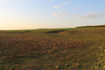 Fototapeta na wymiar A field of grass with Konza Prairie Natural Area in the background